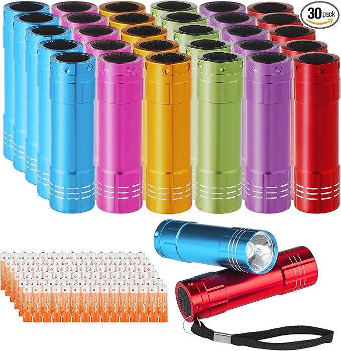 KunHe 30 Pack Mini Bulk Cheep Flashlights Aluminum LED Handheld Torches with Lanyard Batteries Included for Party Favors Camping Power Outage Emergency