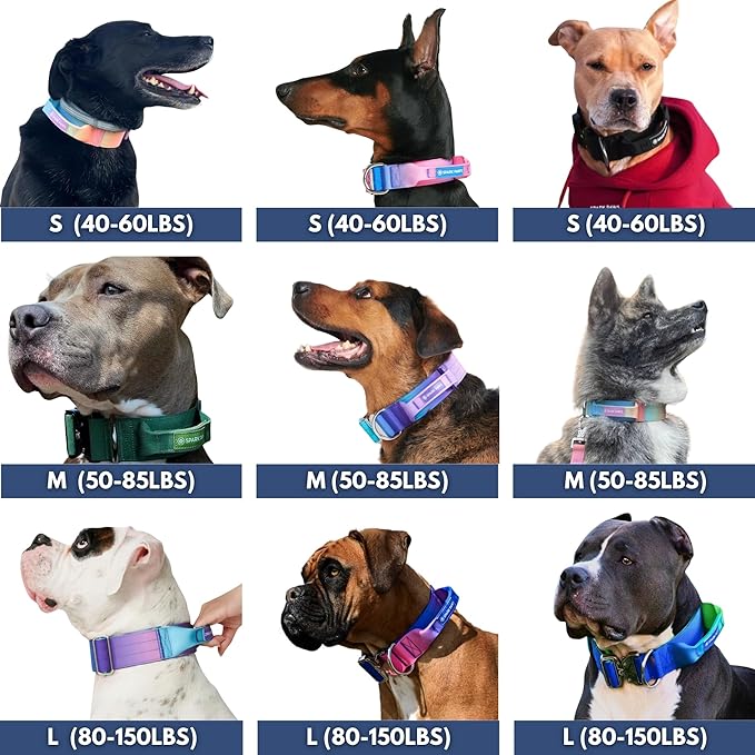 Spark Paws Tactical Dog Collar - Heavy Duty, Premium Quality, Thick and Durable for Large and Medium Dogs - Purple - L