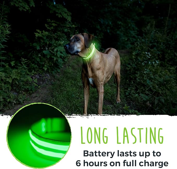 Mighty Paw LED Dog Collar - USB LED Rechargeable - USB Rechargeable Light - High Visibility Glow Strips - Glow Pet Weather Resistant - Enhanced Nighttime Visibility - Light Up Dog Collar - (L, Green)