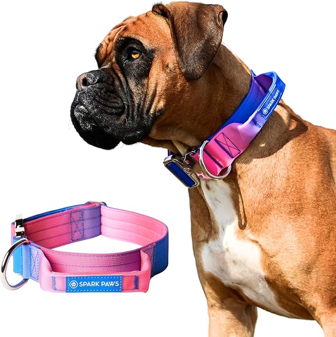 Tactical Dog Collar with Handle - Premium Quality Collar, Robust and Durable Design for Large, Strong Breeds - Pitbulls, Labradors, GSD - Snow Cone - L