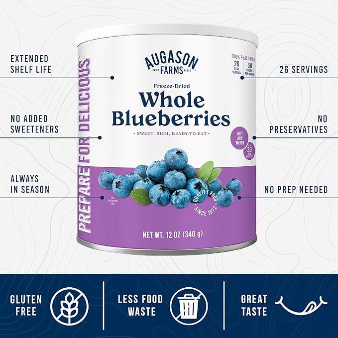 Augason Farms Dried Whole Blueberries Can ??Dried Fruit for Baking & Emergency Food Supply ??Dehydrated Camping Food with Long Shelf Life for Everyday Meal ??26 Servings