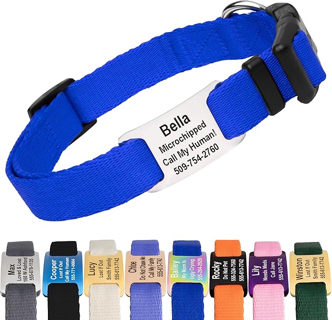GoTags Personalized Dog Collar with Nameplate, Adjustable Dog Collar with Custom Engraved Slide On Pet ID Tag in Stainless Steel, Silent, No Noise Dog Tag for Large Medium and Small (Blue, X-Small)