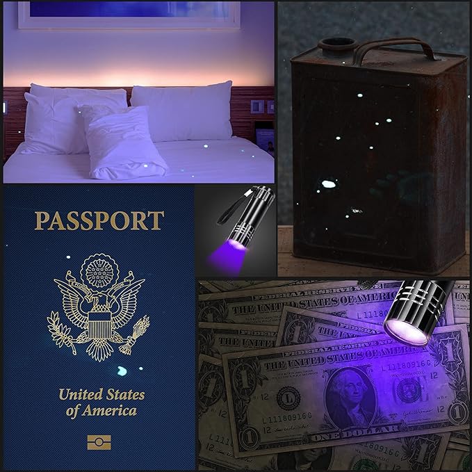 Riakrum 12 Pieces UV Blacklight Flashlights LED Handheld Mini Light Flashlight Small Portable Detector 395nm 9 LED Light for Pet, Carpet Dry Stains Detection, Spot Scorpions, Resin Curing(Black)