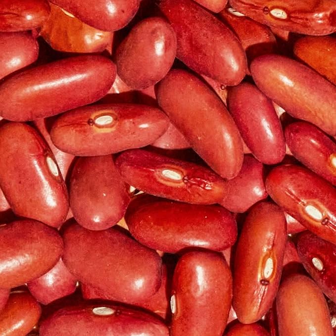 SIMPLi Regenerative Organic Certified Kidney Beans, Organic Red Kidney Beans High in Fiber and Plant-Based Protein, Rich in Iron and Antioxidants for Immune Support, 12 oz