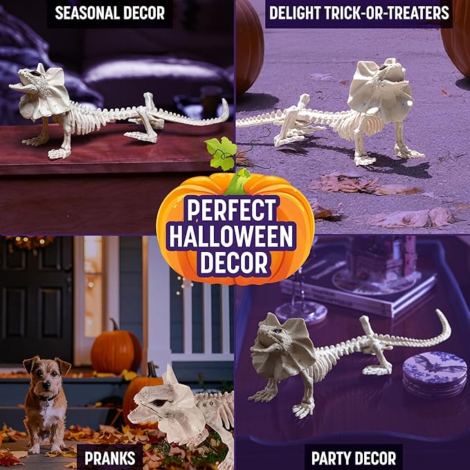 17" Frilled Lizard Skeleton Halloween Decoration- Weather Resistant for Indoor/Outdoor Spooky Decor- Perfect for Tabletop Party Decor, Haunted Houses, Graveyards- Agama Bones- Creepy Dragon Prop
