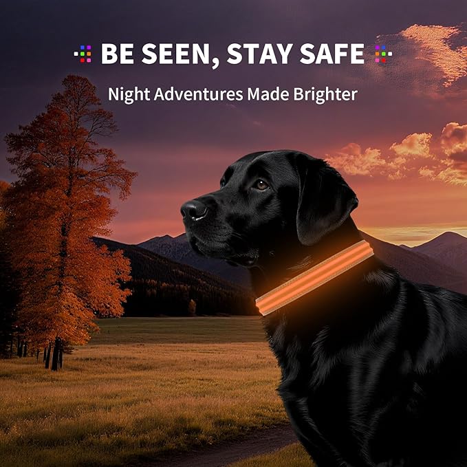 LED Dog Collar with Metal Buckle - USB Rechargeable Glow Collar for Dogs, Waterproof Light Up Dog Collar w/Reflective Strips - Adjustable Night Safety Collars by PetIsay(Orange, Small)