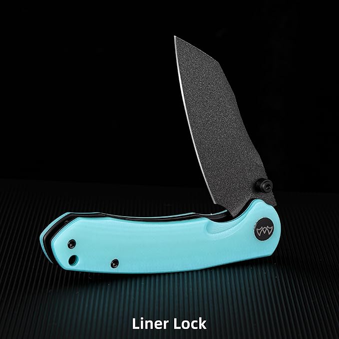 Folding Pocket Knife, 3.35" 14C28N Blade G10 Handle EDC Knife with Liner Lock, Small Pocket Knife with Clip for Men, Sharp Camping Hiking Hunting Survival Knives (Blue)