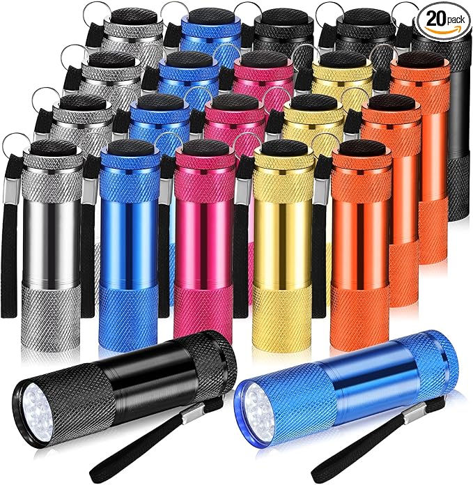 VIHOSE 20 Pcs Mini Flashlights Bulk, Bright Aluminum Handheld Flash Light with Lanyard Small LED Flashlights for Night Reading Emergency Hurricane Camping Hiking, Batteries Not Included(Novel)