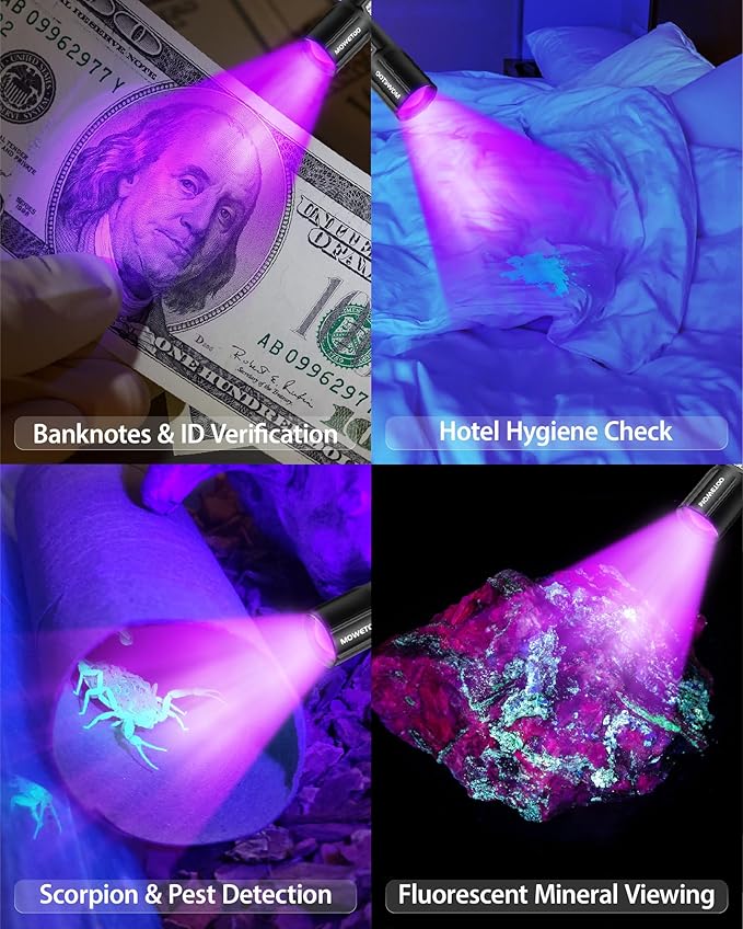 Black Light Flashlight 395NM, UV Light USB C Rechargeable with LCD Display, Zoomable Woods Lamp 2N1, Blacklight for Pet Urine Detection, Resin Curing, Rocks, Travel, Minerals, Scorpion, Glass, Leak