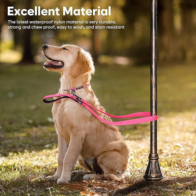 LED Dog Leash, 4 Ft Light Up, USB Rechargeable, Waterproof, Nylon Reflective with Padded Handle, Glow in The Dark for Large, Medium, Small Pets (Pink)