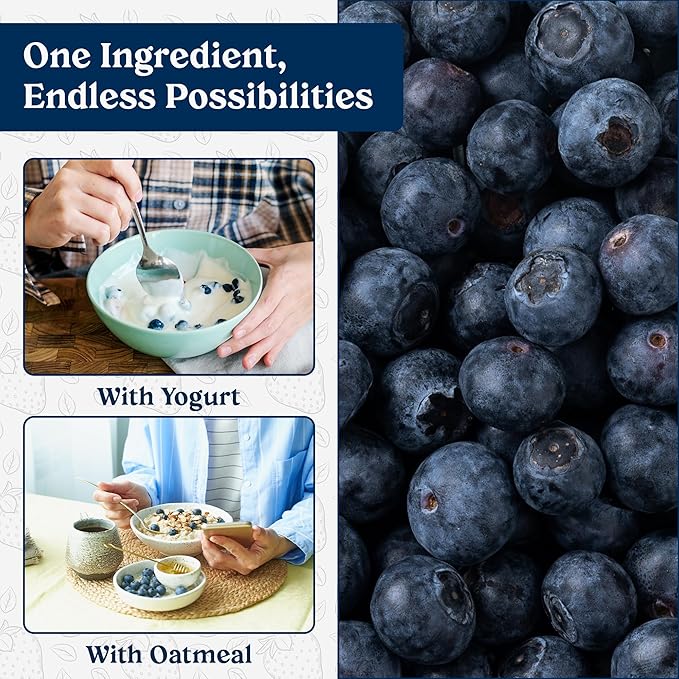 Augason Farms Dried Whole Blueberries Can ??Dried Fruit for Baking & Emergency Food Supply ??Dehydrated Camping Food with Long Shelf Life for Everyday Meal ??26 Servings