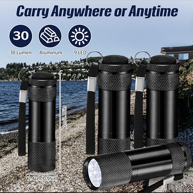 VIHOSE 12 Pcs Mini Flashlights Bulk, Bright Aluminum Handheld Flash Lights with Lanyard, Small LED Flashlights for Kids Night Reading Emergency Hurricane Camping Hiking Party Favors(Black)