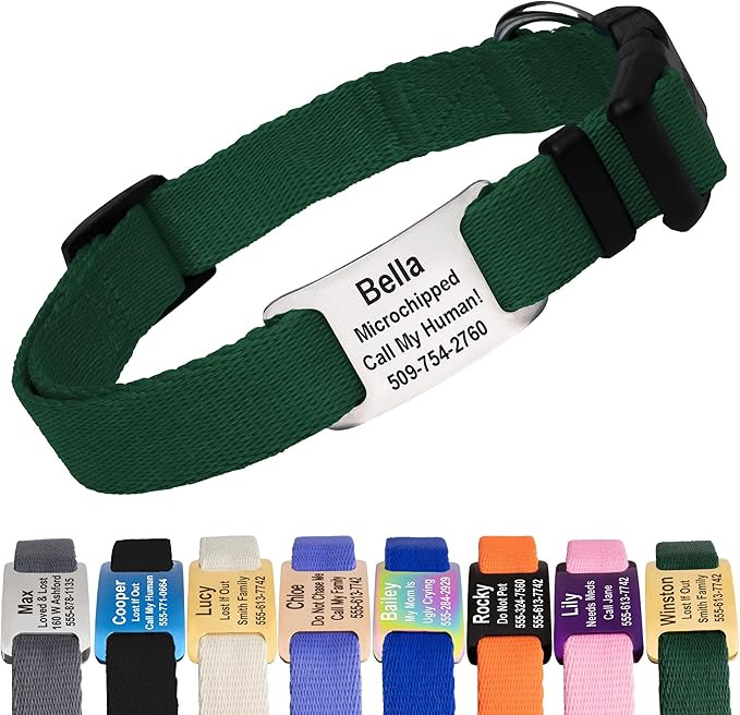 GoTags Personalized Dog Collar with Nameplate, Adjustable Dog Collar with Custom Engraved Slide On Pet ID Tag in Stainless Steel, Silent, No Noise Dog Tag (Hunter Green, Medium)