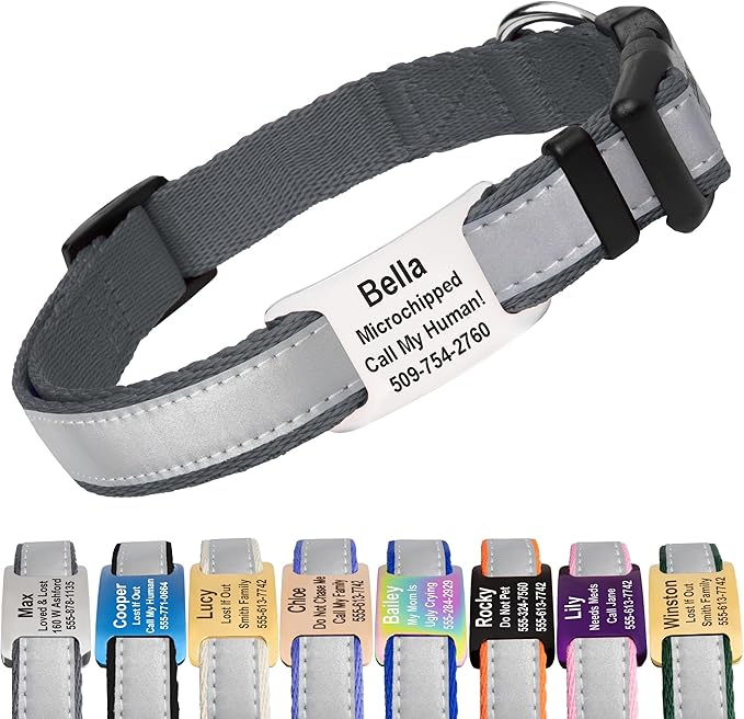 GoTags Reflective Personalized Dog Collar with Nameplate, Adjustable Dog Collar with Custom Engraved Steel Slide On Pet ID Tag, Silent, No Noise Dog Tag for Large Medium or Small (Charcoal, Medium)
