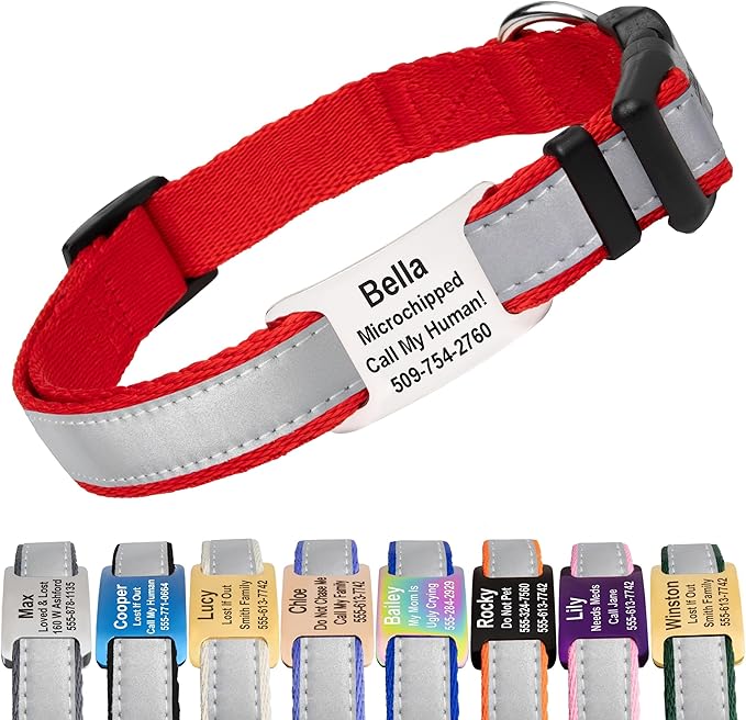 GoTags Reflective Personalized Dog Collar with Nameplate, Adjustable Dog Collar with Custom Engraved Steel Slide On Pet ID Tag, Silent, No Noise Dog Tag for Large Medium or Small (Red, Small)