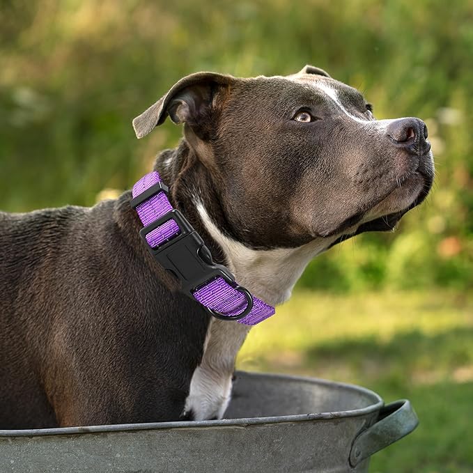 Mile High Life Dog Collar | Nylon Reflective Dog Collars | Light Weight Puppy Collars | Purple Dog Collars for Small Dogs (Solid Purple, X-Small)