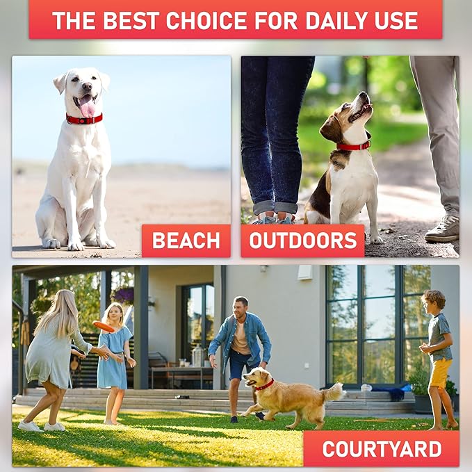 Adjustable Dog Collar with QR Code Dog Tag ID Attached - Made in USA - Honeycomb Waterproof Heavy Duty Dog Collar with Safe Lock Buckle - Odor Proof Pet Collar for Dogs with Strong Zinc D Ring