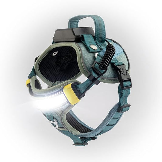 Lumi One LED Dog Harness for Night Visibility and Safety, Patent Pending – Light-Up Dog Vest, Reflective, Adjustable, Rechargeable, Durable, High-Visibility Pet Gear (Teal Blue, Extra Large)