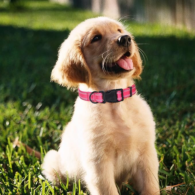 Mile High Life Reflective Dog Collar, Basic Dog Collars Adjustable Quick Release, Soft Nylon Pet Collar with Metal D-Ring for Small Medium Large Dogs (Pink, S Neck11-15")