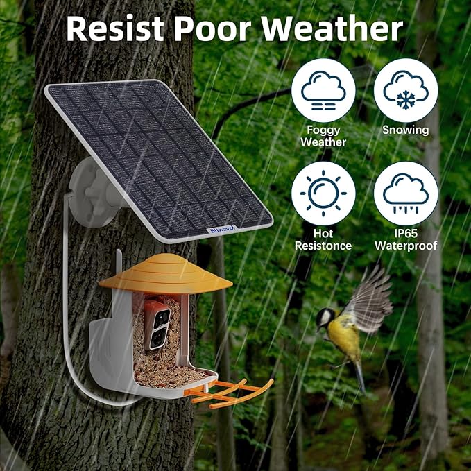 6W Solar Panel for Bird Feeder Camera - USB C Solar Panels Charger Match to Rechargeable Battary Powered Camera Outdoor Wireless, IP65 Ring Camera Solar with USB DC,9.8ft Cable 360° Swivel Bracket
