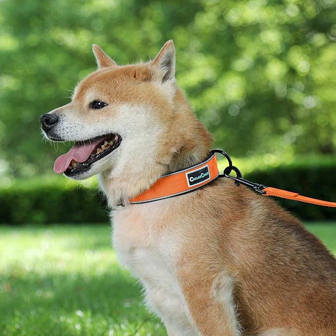 Dog Collar for Small Medium Large Dogs, Reflective, Adjustable Heavy Duty Dog Collar, Soft Neoprene Padded Comfortable for Walking (Orange, L)
