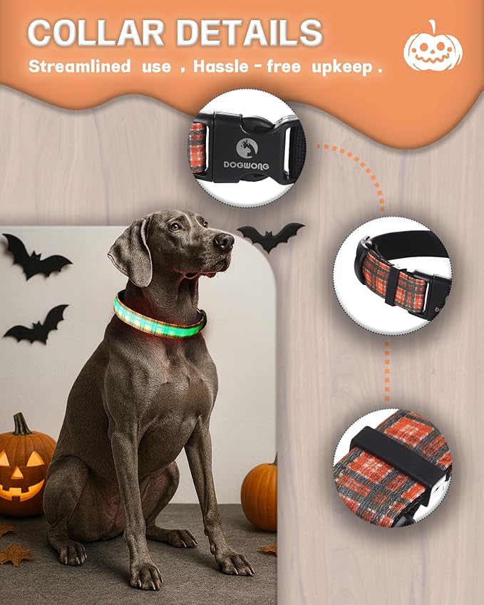 DOGWONG LED Dog Collar - Fall Orange Plaid Heavy Duty Light up Dog Collars - Rechargeable Waterproof - Lighted Dog Collars for Night Walking, Hiking, Camping(Orange Plaid,L)