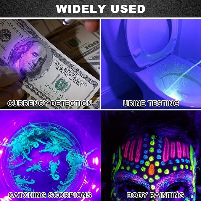 Mini UV Keychain Flashlight, LED Black Light, Portable Small UV Light, Ultra Bright 12 Lumen Tiny Flashlight for Pet Stains, Scorpions, and Document Verification (12PCS)