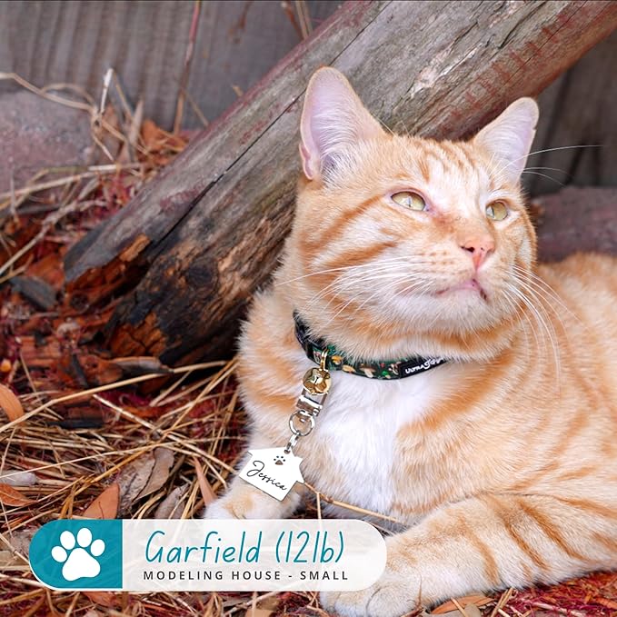 Ultra Joys Dog Tags Personalized for Pets - Hollow Paw Custom Pet ID Tag - Engraved Dog Tag for Small, Large Dogs - Small House in Silver