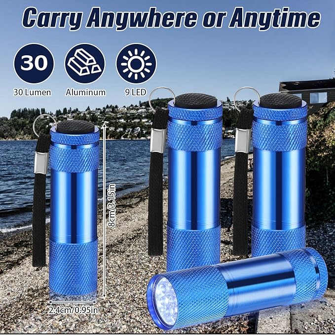 VIHOSE 12 Pcs Mini Flashlights Bulk, Bright Aluminum Handheld Flash Lights with Lanyard, Small LED Flashlights for Kids Night Reading Emergency Hurricane Camping Hiking Party Favors(Blue)