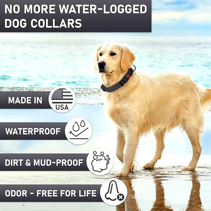 Adjustable Dog Collar with QR Code Dog Tag ID Attached - Made in USA - Honeycomb Waterproof Heavy Duty Dog Collar with Safe Lock Buckle - Odor Proof Pet Collar for Dogs with Strong Zinc D Ring