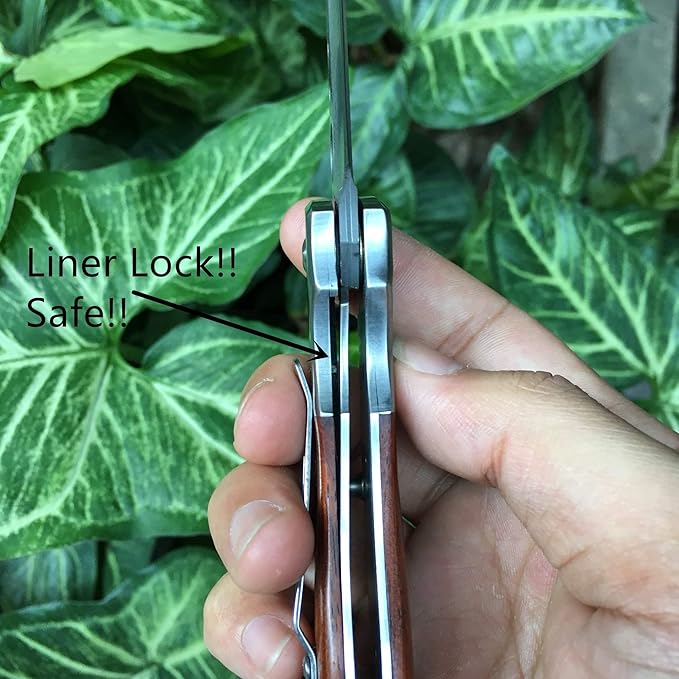 ALBATROSS Premium Damascus Steel Folding Pocket Knife with Liner Lock - EDC Knife with Sandalwood Handle - Perfect for Outdoor, Hunting, Survival & Gift Collection - HGDK007