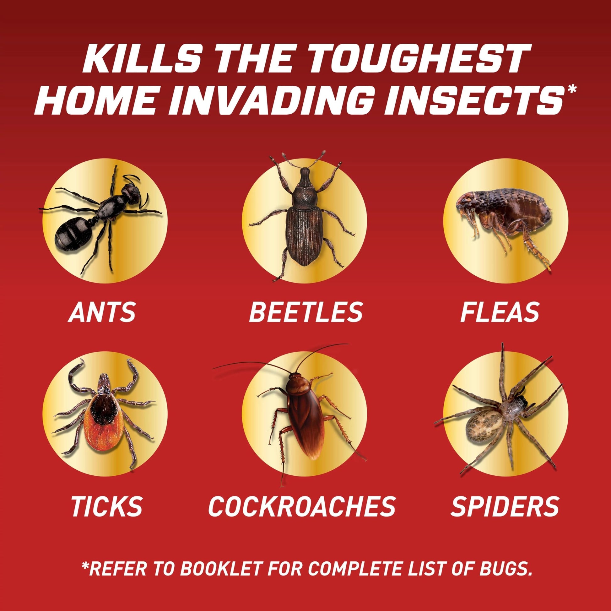 Ortho Home Defense Insect Killer for Indoor & Perimeter Refill2, 1 gal.