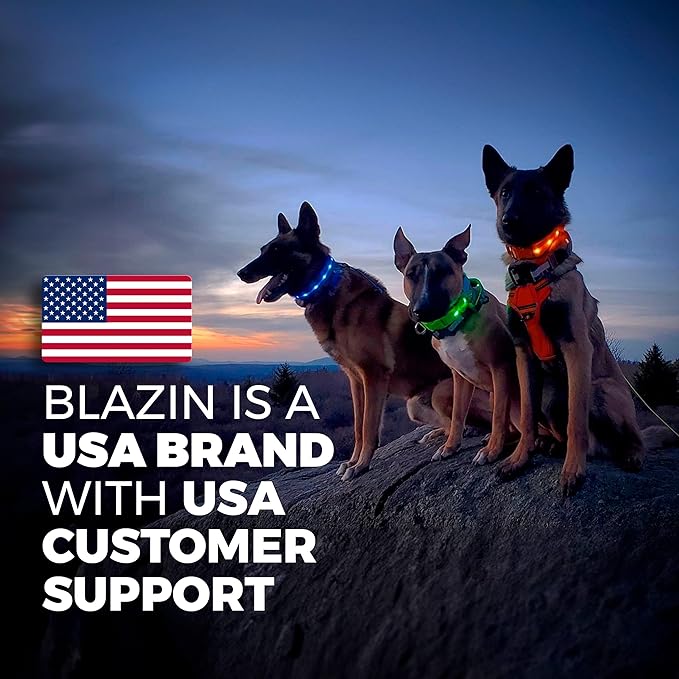 BLAZIN Light Up Dog Leash LED - 1,000 Feet of Visibility - USB Rechargeable Waterproof Glow in The Dark Dog Leash - 4 Foot, Black