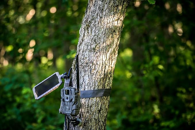 Stealth Cam Durable Sol-Pak Solar Battery Pack, 12V Solar Power Panel, Rechargeable Battery & 10ft Insulated Cable, Compatible with All Wireless/Cellular Trail Cameras - 3000 mAh