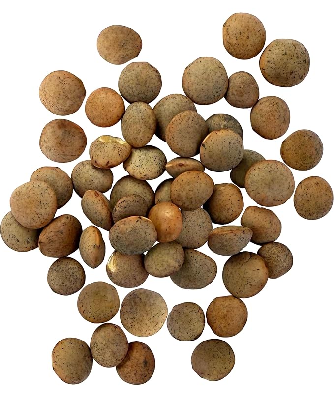 Certified Glyphosate Residue Free Brown Lentils | 25 LBS | Bulk | Desiccant Free | Sproutable | Non-GMO Project Verified | Kosher