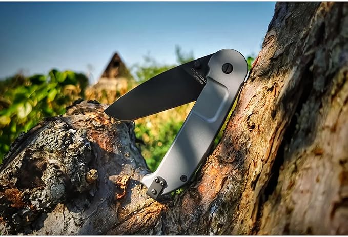 Extrema Ratio - BF2 CD M390 (Grey) Folding Knife, M390 steel blade 60 HRC, grey satin finish, anodized aluminum handle, reversible clip, ergonomic design, Italian craftsmanship, durable folding knife