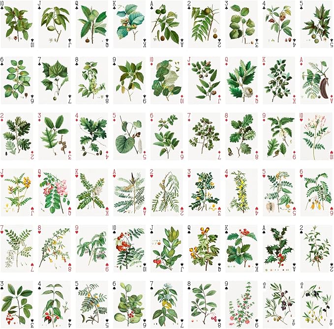 Trees and Leaves Playing Cards (Poker Deck 54 Cards All Different) Vintage Antique Botannical Books Illustration by Pierre Redoute