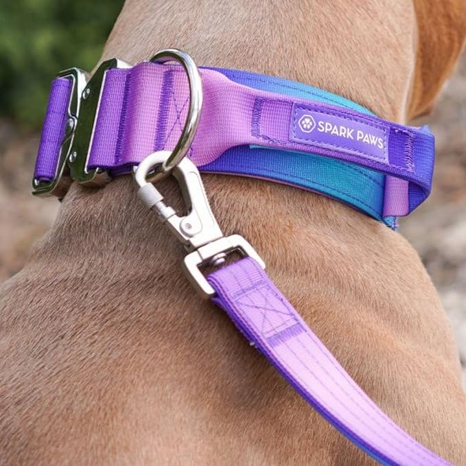 Spark Paws Tactical Dog Collar - Heavy Duty, Premium Quality, Thick and Durable for Large and Medium Dogs - 90s Retro - S