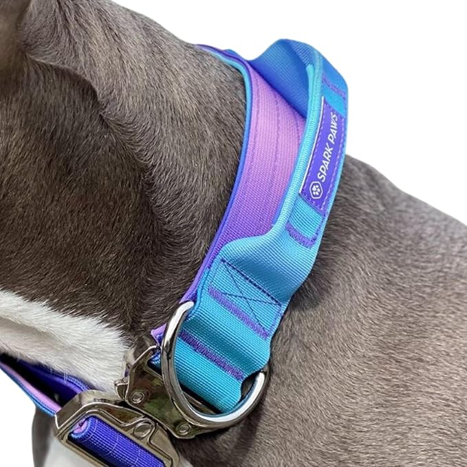 Spark Paws Tactical Dog Collar - Heavy Duty, Premium Quality, Thick and Durable for Large and Medium Dogs - 90s Retro - S