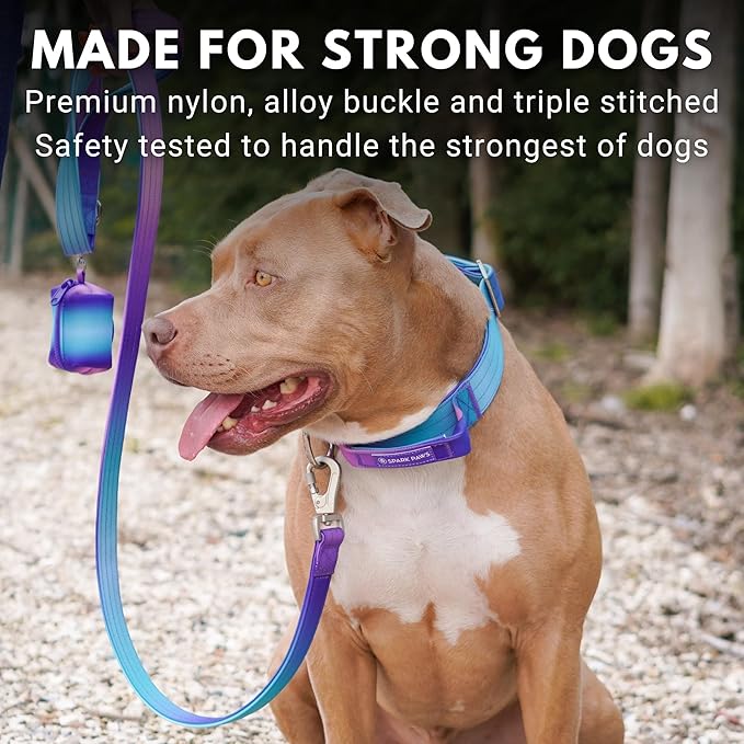 Spark Paws Tactical Dog Collar - Heavy Duty, Premium Quality, Thick and Durable for Large and Medium Dogs - 90's Retro - M