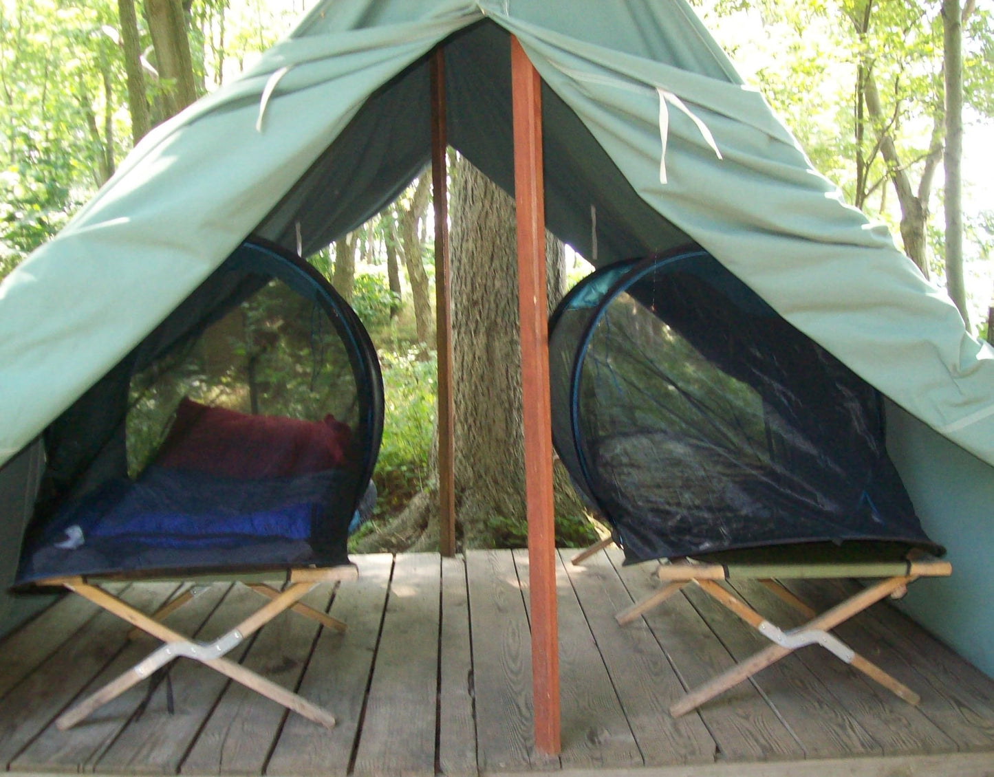 SANSBUG Screen Tent (Instant Pop up, Strong No-See-um Mesh, Durable Tarp Floor)