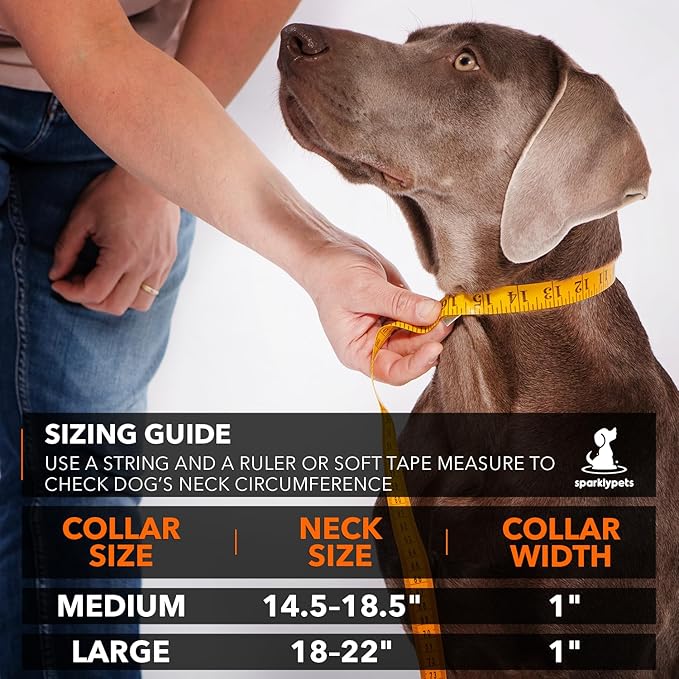 SparklyPets Heavy Duty Dog Collar with Handle for Medium and Large Dogs ??Professional Collar with Reflective Stitches, Soft Handle & Nickel-Plated Buckle (Large (18"~22"), Gray)