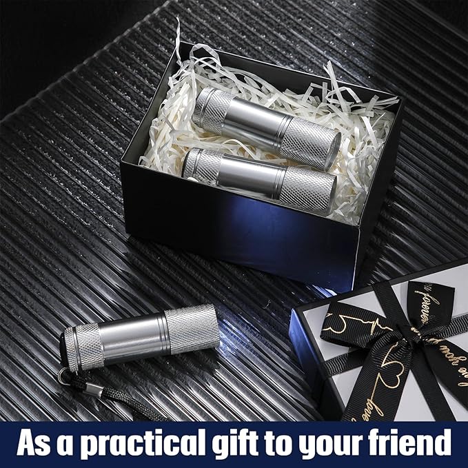 VIHOSE 20 Pcs Mini Flashlights Bulk, Bright Aluminum Handheld Flash Light with Lanyard Small LED Flashlights for Night Reading Emergency Hurricane Camping Hiking, Batteries Not Included(Silver)