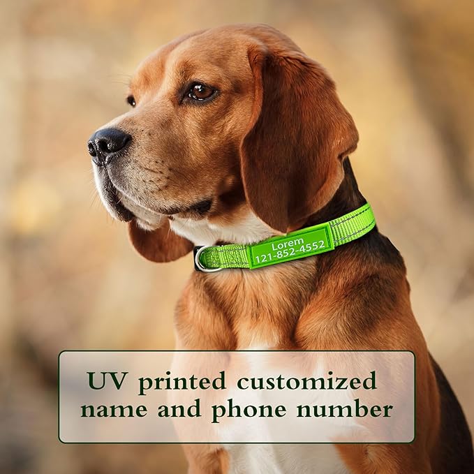 Personalized Dog Collar, Custom ID Collar Reflective Nylon Collar with Pet Name and Phone Number 4 Adjustable Sizes X-Small Small Medium Large Quick Release Buckle and D-Ring (Solid)