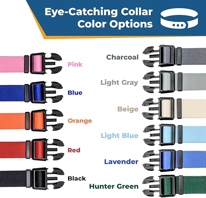 GoTags Personalized Dog Collar with Nameplate, Adjustable Dog Collar with Custom Engraved Slide On Pet ID Tag in Stainless Steel, Silent, No Noise Dog Tag for Large Medium and Small (Blue, Medium)