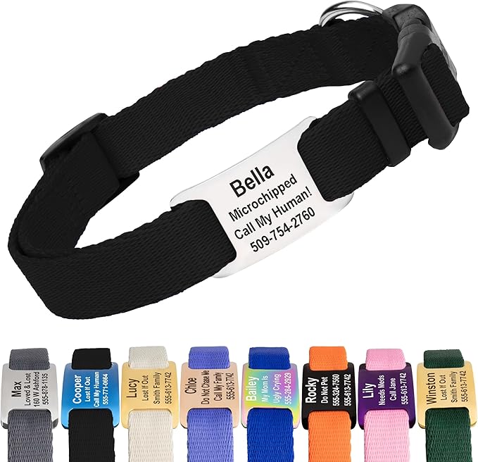 GoTags Personalized Dog Collar with Nameplate, Adjustable Dog Collar with Custom Engraved Slide On Pet ID Tag in Stainless Steel, Silent, No Noise Dog Tag for Large Medium and Small (Black, X-Small)