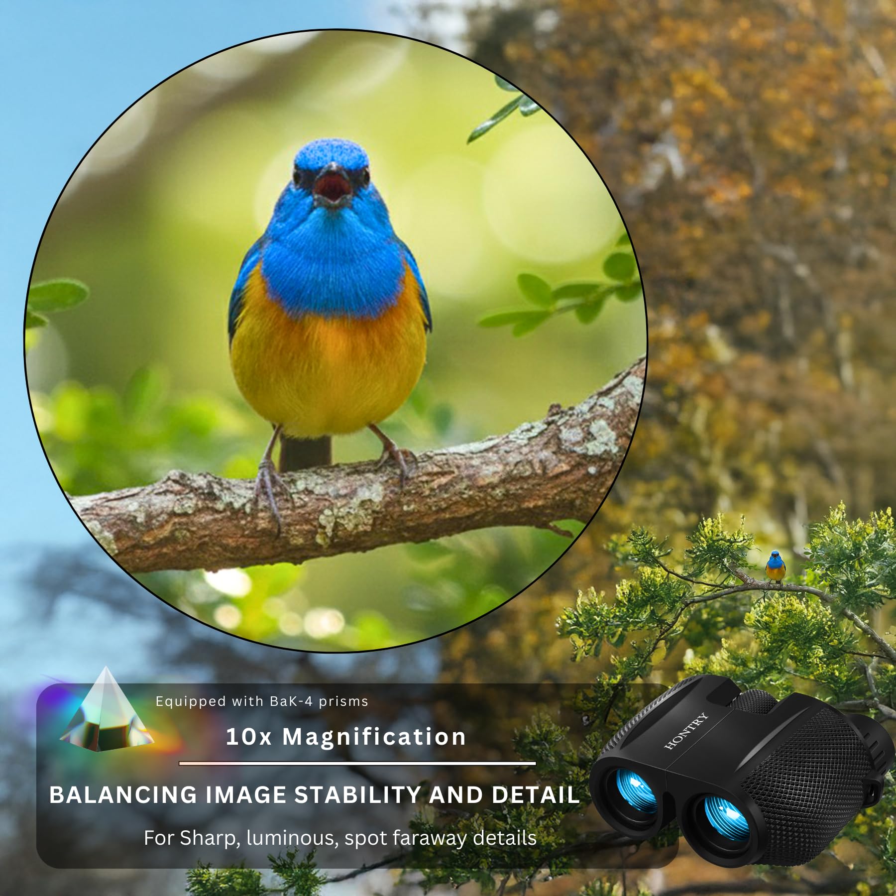 Hontry 10x25 Compact Binoculars for Adults and Kids