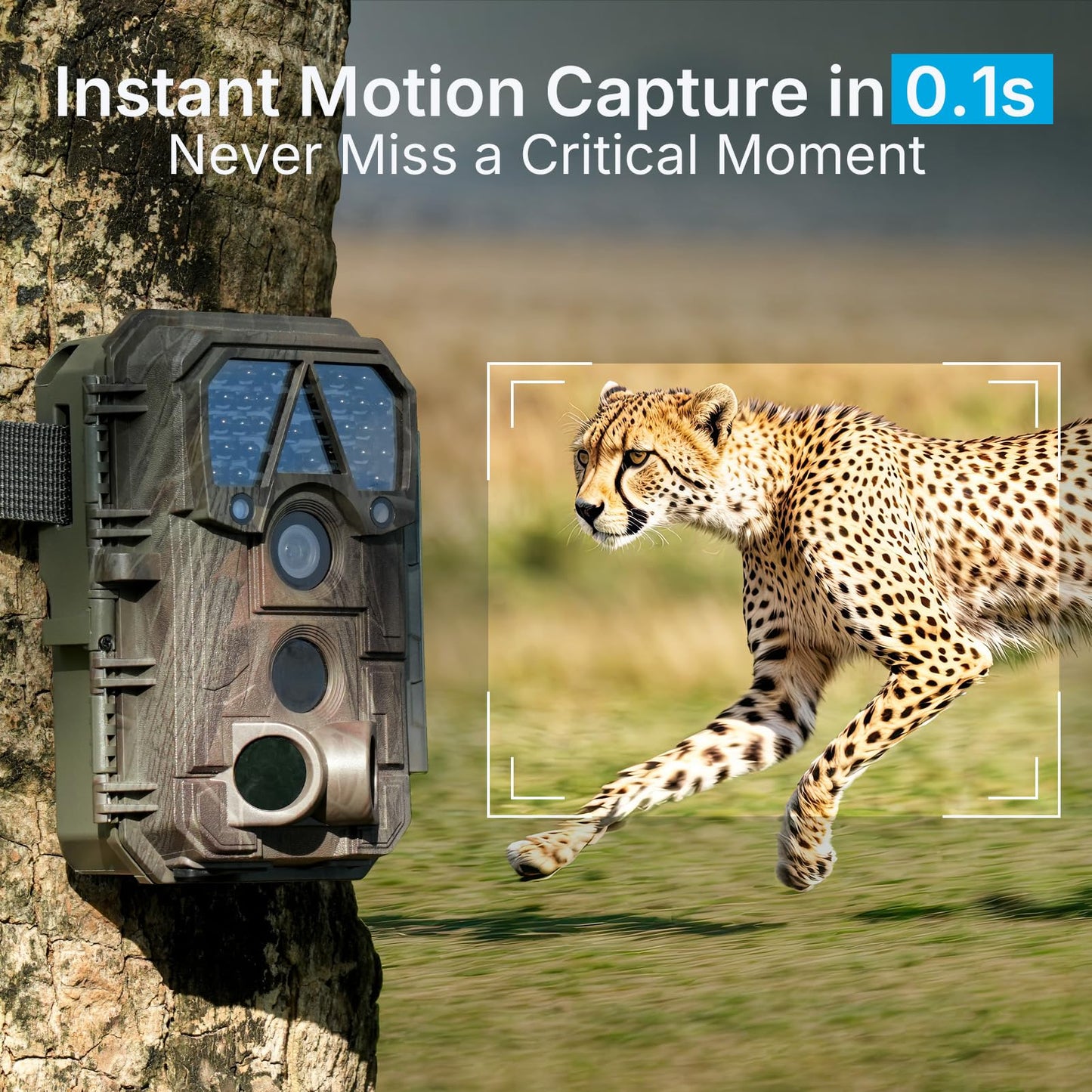 Meidase P70 (Non-Cellular,Non-WiFi) Trail Camera, 64MP 1296p, Game Cameras with No-Glow IR Night