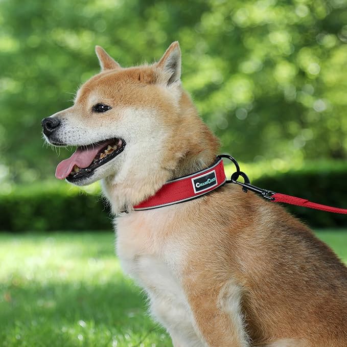 Dog Collar for Small Medium Large Dogs, Reflective, Adjustable Heavy Duty Dog Collar, Soft Neoprene Padded Comfortable for Walking (Red, XL)