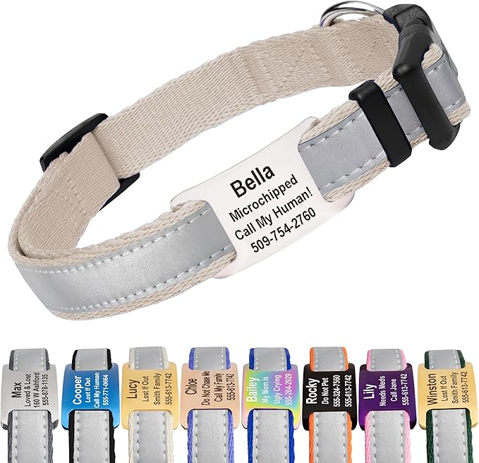 GoTags Reflective Personalized Dog Collar with Nameplate, Adjustable Dog Collar with Custom Engraved Steel Slide On Pet ID Tag, Silent, No Noise Dog Tag for Large Medium or Small (Beige, Medium)